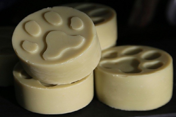 Soap for Dogs 